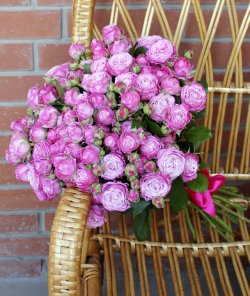 Букет "19 кустовых пионовидных роз"