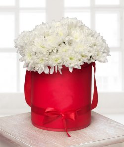 Капелюшна коробка з білої хризантеми