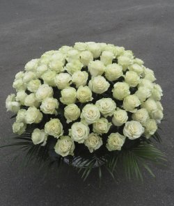 Корзина из 101 белой голландской розы №16