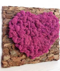 Картина зі стабілізованого мохів "Серце"