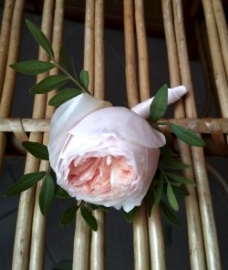 Бутоньерка из розы Дэвида Остина №20