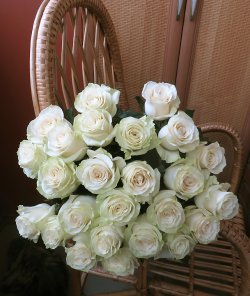 Букет з 25 білих голландських троянд