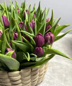 Корзина из тюльпанов «Pontiac». Доставка Цветов Киев