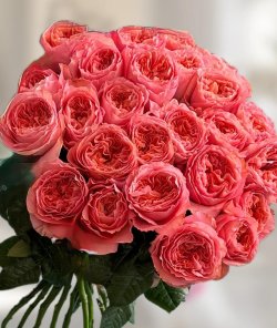 Букет из 25 роз Pink Expression №39. Цветы Киев (Осокорки, Позняки)
