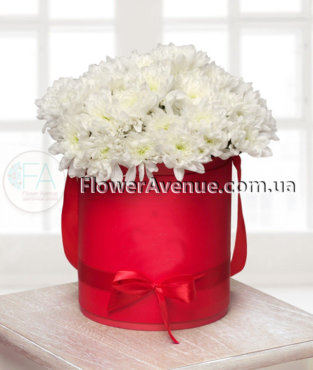 Шляпная коробка из белой хризантемы