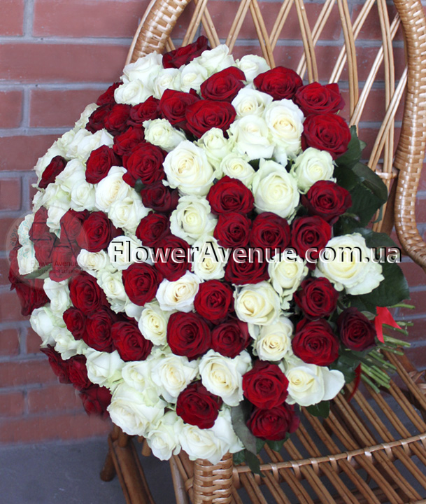 101 красно-белая роза, 80 см
