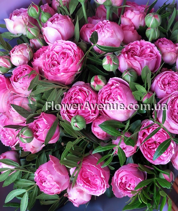 Пионовидные розовые розы в Киеве